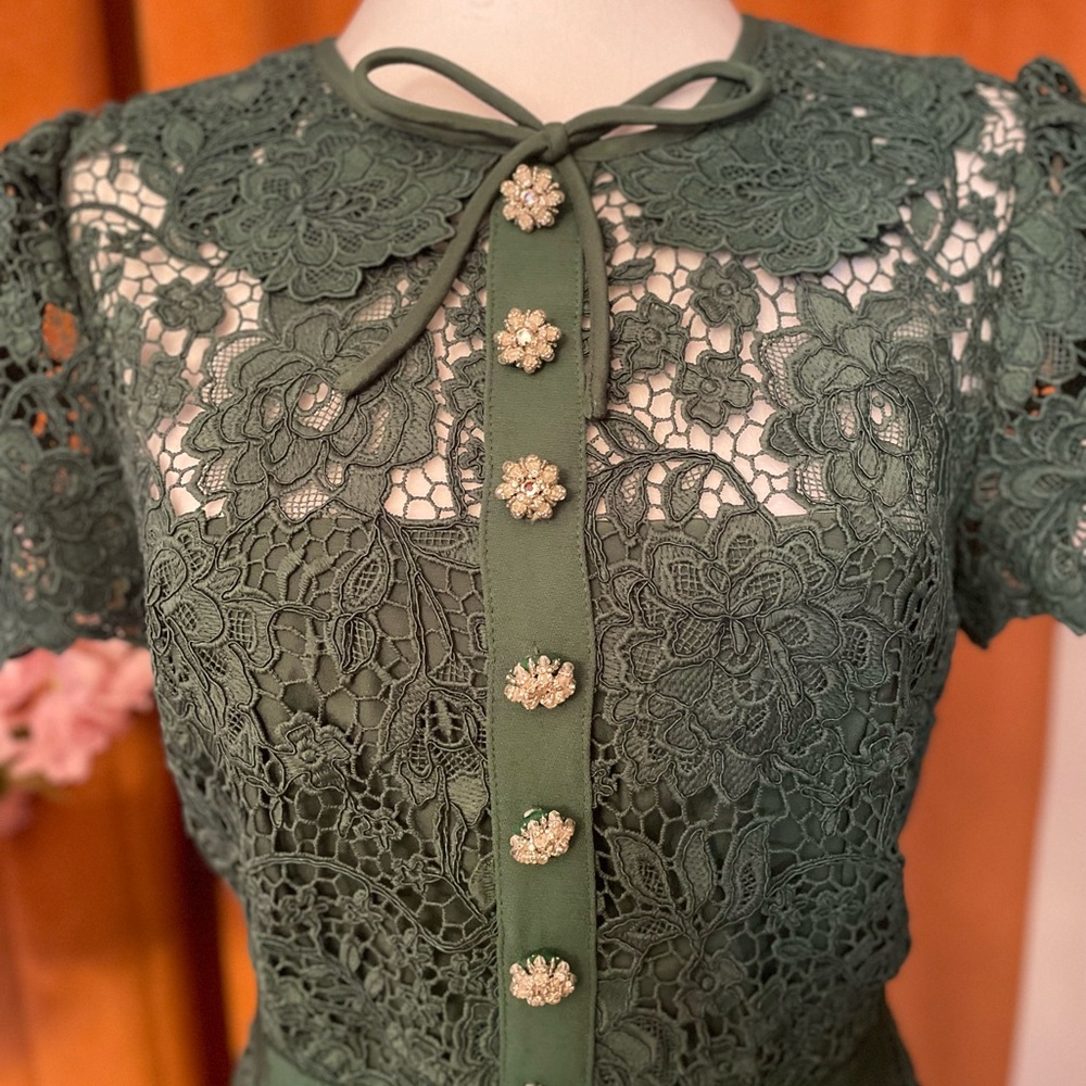 Self-Portrait green Lace Dress - Picture 4 of 12